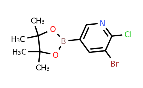 CAS 2223049-72-5 | 3-Bromo-2-chloro-5-(4,4,5,5-tetramethyl-1,3,2-dioxaborolan-2-YL)pyridine