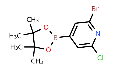 CAS 2223052-45-5 | 2-Bromo-6-chloro-4-(4,4,5,5-tetramethyl-1,3,2-dioxaborolan-2-YL)pyridine