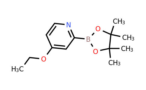 CAS 2223052-66-0 | 4-Ethoxy-2-(4,4,5,5-tetramethyl-1,3,2-dioxaborolan-2-YL)pyridine