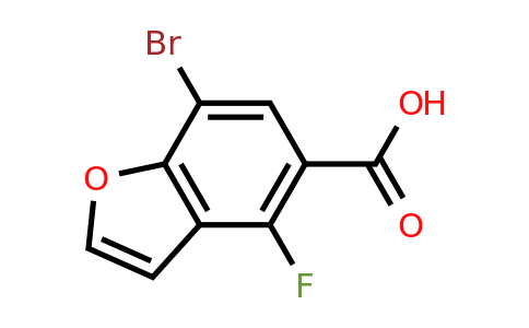CAS 2227206-54-2 | 7-bromo-4-fluoro-1-benzofuran-5-carboxylic acid