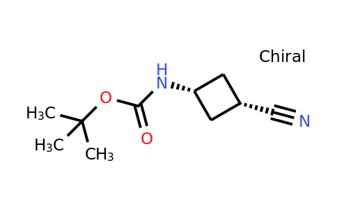 CAS 2230789-54-3 | tert-butyl cis-N-(3-cyanocyclobutyl)carbamate