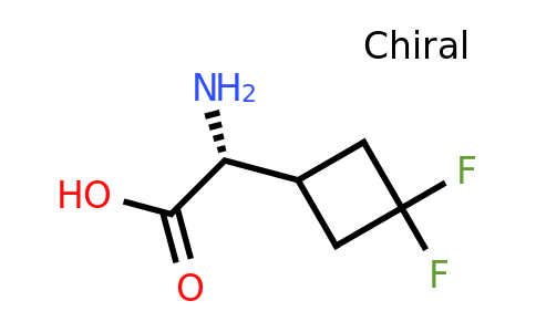 CAS 2231665-47-5 | (2R)-2-amino-2-(3,3-difluorocyclobutyl)acetic acid