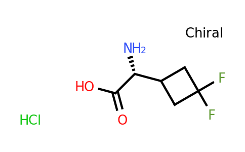 CAS 2231665-48-6 | (2R)-2-amino-2-(3,3-difluorocyclobutyl)acetic acid hydrochloride