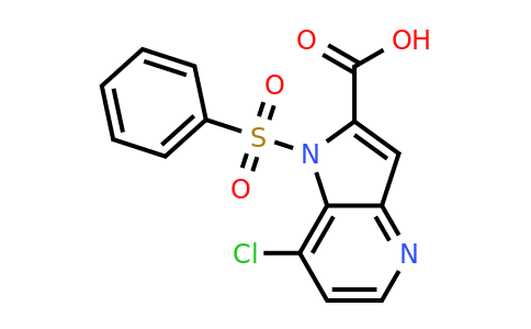 CAS 2231672-82-3 | 1-(benzenesulfonyl)-7-chloro-1H-pyrrolo[3,2-b]pyridine-2-carboxylic acid