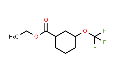 CAS 2231672-91-4 | ethyl 3-(trifluoromethoxy)cyclohexane-1-carboxylate