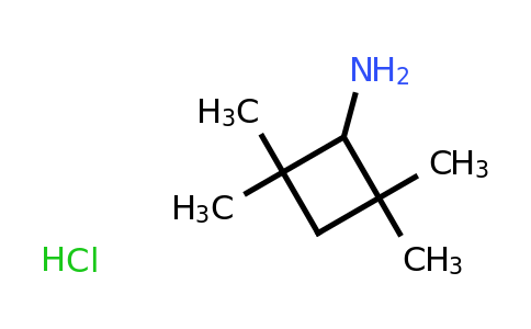 CAS 2231673-87-1 | 2,2,4,4-tetramethylcyclobutan-1-amine hydrochloride