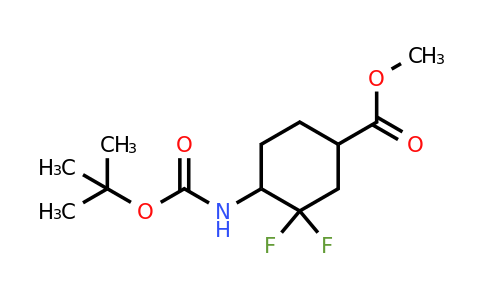 CAS 2231674-36-3 | methyl 4-(tert-butoxycarbonylamino)-3,3-difluoro-cyclohexanecarboxylate