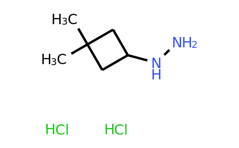 CAS 2231674-83-0 | (3,3-dimethylcyclobutyl)hydrazine dihydrochloride