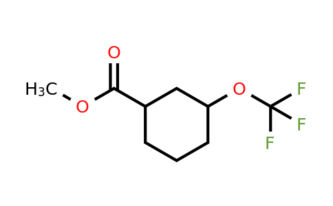 CAS 2231676-09-6 | methyl 3-(trifluoromethoxy)cyclohexane-1-carboxylate