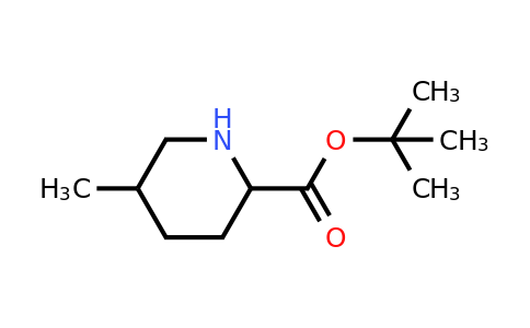 CAS 2241139-17-1 | tert-butyl 5-methylpiperidine-2-carboxylate