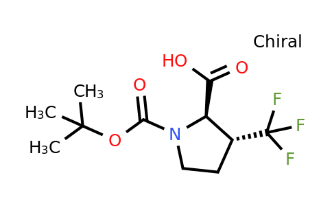 CAS 2242748-37-2 | (2R,3R)-1-[(tert-butoxy)carbonyl]-3-(trifluoromethyl)pyrrolidine-2-carboxylic acid