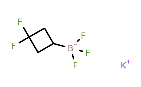 CAS 2243345-26-6 | potassium (3,3-difluorocyclobutyl)trifluoroboranuide