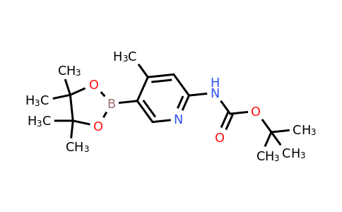 CAS 2246719-95-7 | tert-Butyl (4-methyl-5-(4,4,5,5-tetramethyl-1,3,2-dioxaborolan-2-yl)pyridin-2-yl)carbamate