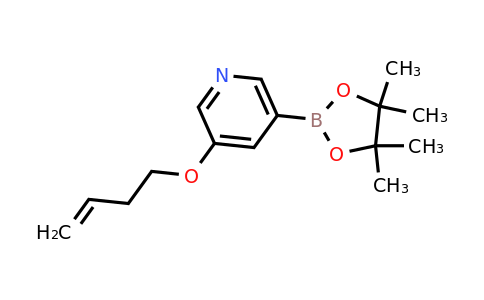 CAS 2246874-52-0 | 3-(but-3-en-1-yloxy)-5-(tetramethyl-1,3,2-dioxaborolan-2-yl)pyridine