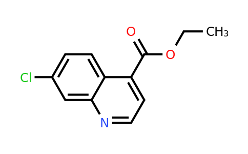 CAS 227453-42-1 | Ethyl 7-chloroquinoline-4-carboxylate