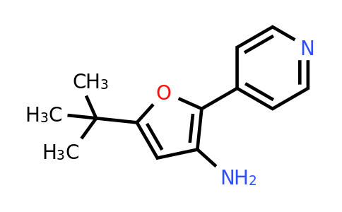 CAS 227623-29-2 | 5-(tert-Butyl)-2-(pyridin-4-yl)furan-3-amine