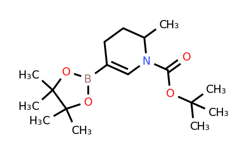 CAS 2304631-40-9 | tert-butyl 2-methyl-5-(4,4,5,5-tetramethyl-1,3,2-dioxaborolan-2-yl)-1,2,3,4-tetrahydropyridine-1-carboxylate