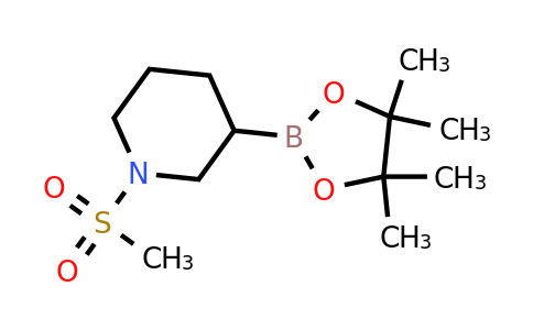 CAS 2304631-47-6 | 1-(methylsulfonyl)-3-(4,4,5,5-tetramethyl-1,3,2-dioxaborolan-2-yl)piperidine