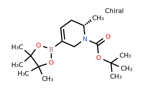 CAS 2304631-63-6 | tert-butyl (2S)-2-methyl-5-(4,4,5,5-tetramethyl-1,3,2-dioxaborolan-2-yl)-3,6-dihydro-2H-pyridine-1-carboxylate