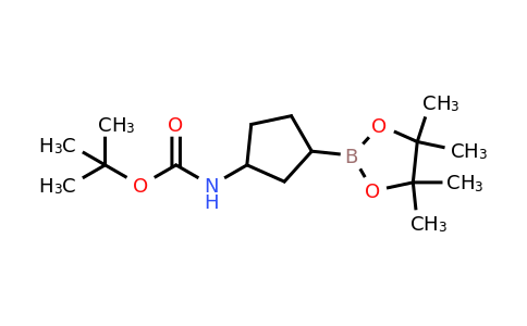 CAS 2304631-65-8 | [3-(4,4,5,5-Tetramethyl-[1,3,2]dioxaborolan-2-yl)-cyclopentyl]-carbamic acid tert-butyl ester