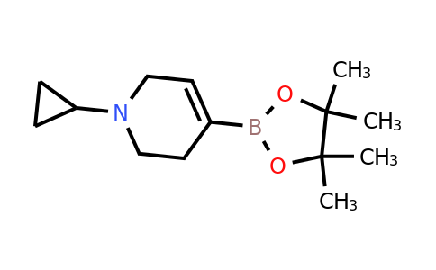 CAS 2304631-68-1 | 1-Cyclopropyl-4-(4,4,5,5-tetramethyl-1,3,2-dioxaborolan-2-yl)-1,2,3,6-tetrahydropyridine