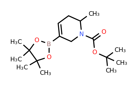CAS 2304631-77-2 | tert-butyl 2-methyl-5-(4,4,5,5-tetramethyl-1,3,2-dioxaborolan-2-yl)-1,2,3,6-tetrahydropyridine-1-carboxylate