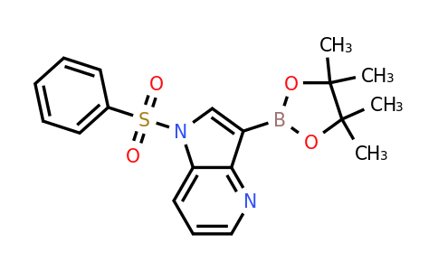 CAS 2304634-98-6 | 1-(benzenesulfonyl)-3-(tetramethyl-1,3,2-dioxaborolan-2-yl)-1H-pyrrolo[3,2-b]pyridine