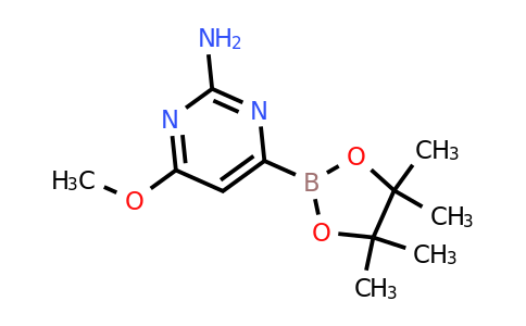 CAS 2304635-50-3 | 4-Methoxy-6-(4,4,5,5-tetramethyl-1,3,2-dioxaborolan-2-yl)pyrimidin-2-amine
