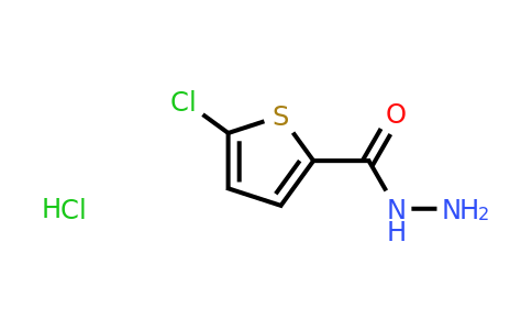 CAS 2305079-80-3 | 5-Chloro-thiophene-2-carboxylic acid hydrazide hydrochloride