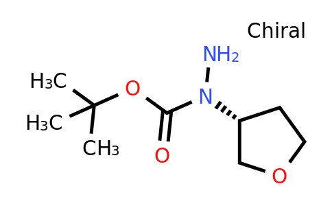 CAS 2305080-35-5 | (R)-N-(Tetrahydro-furan-3-yl)-hydrazinecarboxylic acid tert-butyl ester