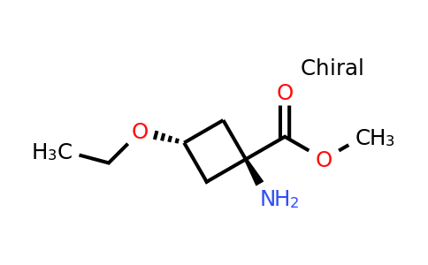CAS 2306247-16-3 | methyl trans-1-amino-3-ethoxy-cyclobutanecarboxylate