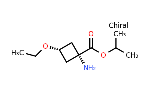 CAS 2306254-72-6 | isopropyl cis-1-amino-3-ethoxy-cyclobutanecarboxylate