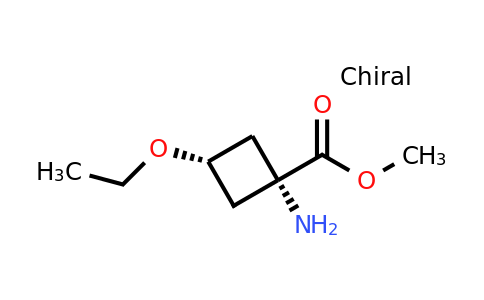 CAS 2306255-38-7 | methyl cis-1-amino-3-ethoxy-cyclobutanecarboxylate