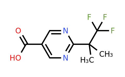 CAS 2306261-36-7 | 2-(2,2,2-trifluoro-1,1-dimethyl-ethyl)pyrimidine-5-carboxylic acid