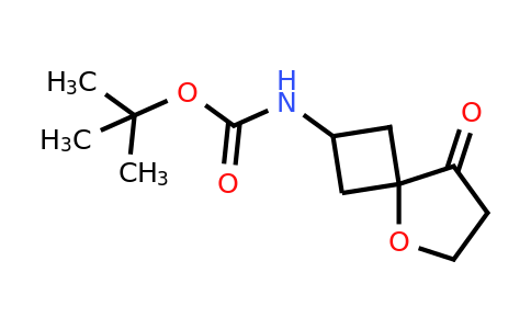 CAS 2306261-68-5 | tert-butyl N-(8-oxo-5-oxaspiro[3.4]octan-2-yl)carbamate