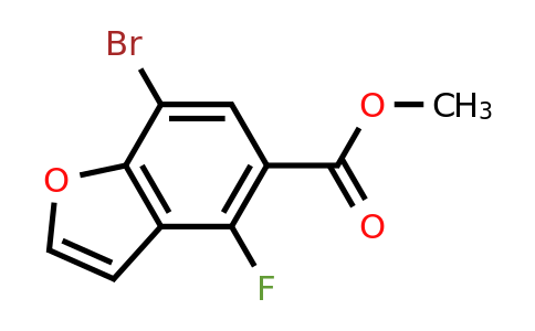 CAS 2306264-86-6 | methyl 7-bromo-4-fluoro-benzofuran-5-carboxylate