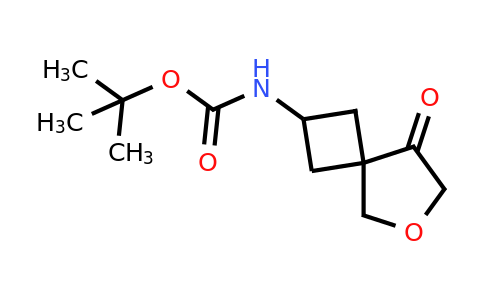 CAS 2306272-54-6 | tert-butyl N-(8-oxo-6-oxaspiro[3.4]octan-2-yl)carbamate