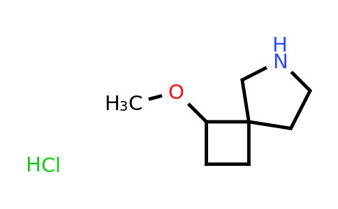 CAS 2306275-66-9 | 3-methoxy-6-azaspiro[3.4]octane;hydrochloride