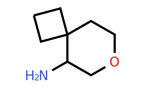 CAS 2306277-99-4 | 7-oxaspiro[3.5]nonan-9-amine