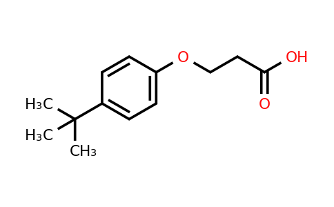 CAS 23067-72-3 | 3-(4-tert-butylphenoxy)propanoic acid