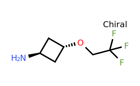 CAS 2329050-17-9 | trans-3-(2,2,2-Trifluoro-ethoxy)-cyclobutylamine