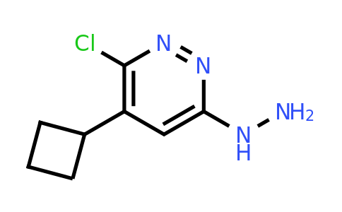 CAS 233276-12-5 | 3-Chloro-4-cyclobutyl-6-hydrazinylpyridazine