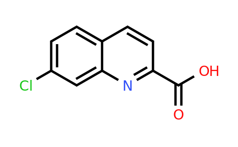 CAS 234444-66-7 | 7-Chloroquinoline-2-carboxylic acid