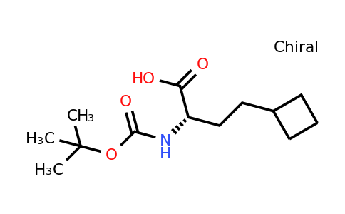 CAS 2349835-19-2 | (2S)-2-(tert-butoxycarbonylamino)-4-cyclobutyl-butanoic acid