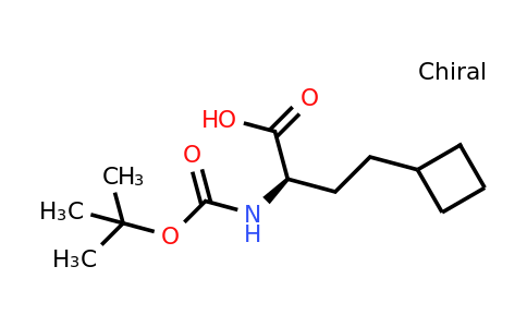 CAS 2349932-34-7 | (2R)-2-(tert-butoxycarbonylamino)-4-cyclobutyl-butanoic acid
