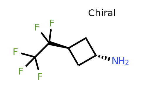 CAS 2359070-81-6 | trans-3-(1,1,2,2,2-pentafluoroethyl)cyclobutanamine