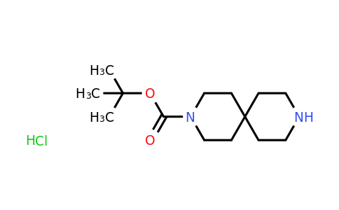 CAS 236406-47-6 | 3,9-Diaza-spiro[5.5]undecane-3-carboxylic acid tert-butyl ester hydrochloride