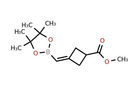 CAS 2365173-42-6 | methyl 3-[(4,4,5,5-tetramethyl-1,3,2-dioxaborolan-2-yl)methylene]cyclobutanecarboxylate