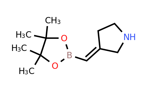 CAS 2365173-80-2 | (3E)-3-[(4,4,5,5-tetramethyl-1,3,2-dioxaborolan-2-yl)methylene]pyrrolidine