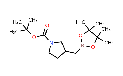 CAS 2365173-86-8 | tert-butyl 3-[(4,4,5,5-tetramethyl-1,3,2-dioxaborolan-2-yl)methyl]pyrrolidine-1-carboxylate